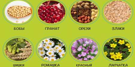 Продукти з фітоестрогенами для жінок і трави
