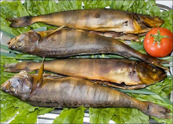Риба терпуг – 6 смачних рецептів приготування в духовці на сковороді