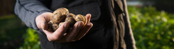 Ручний окучник для картоплі своїми руками: види, креслення і виготовлення