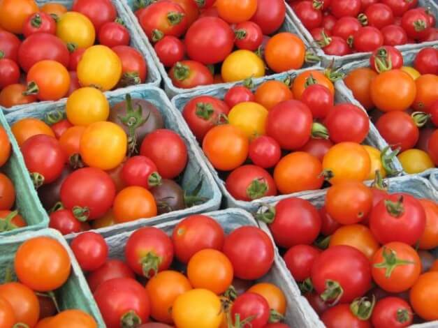 Сорти помідорів: опис та фото
