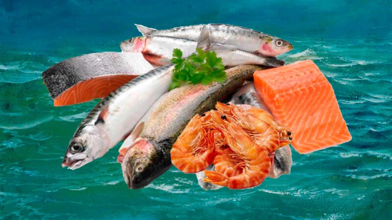 Полезные морепродукты