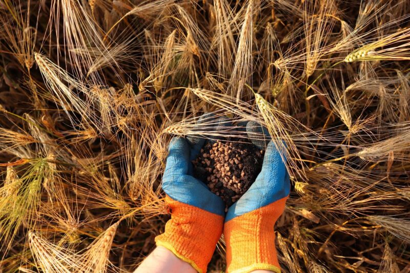 Як вибрати якісне мінеральне добриво