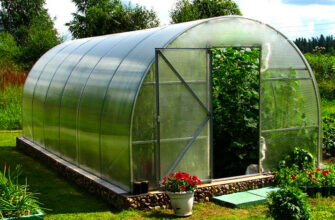 Яка різниця між теплицею і парником