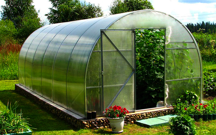 Яка різниця між теплицею і парником