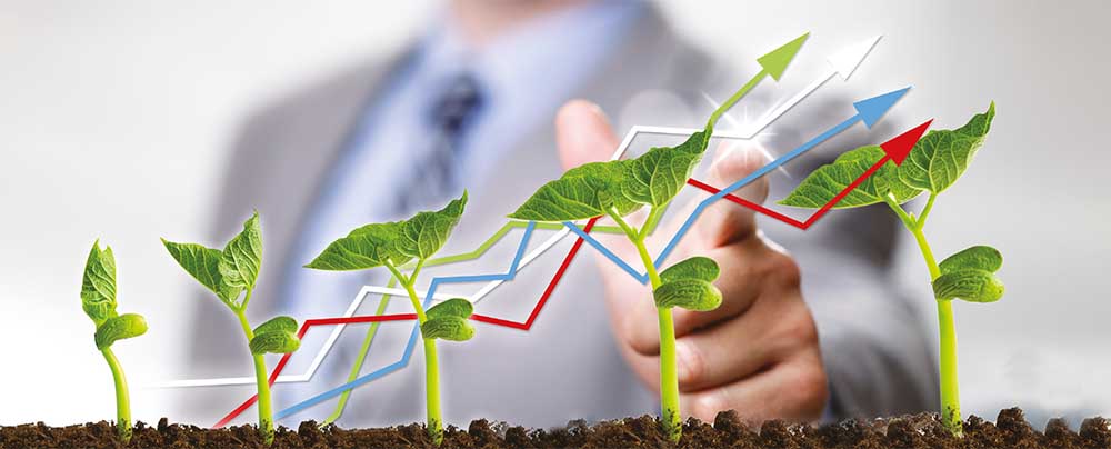 Особливості та рекомендації з вибору добрив Макош