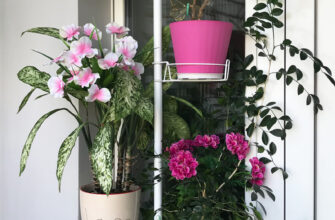 Підставка для квітів на вікно